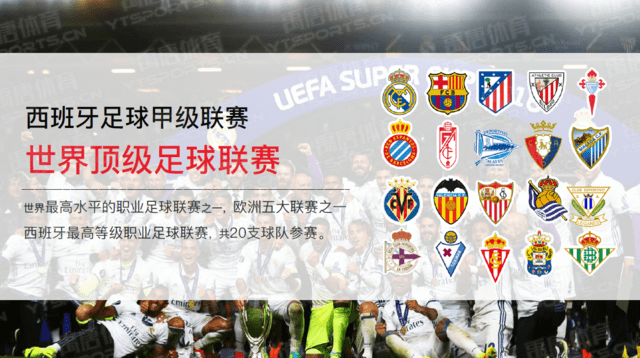 球迷票选最受欢迎球星前十（球迷投票选出人气球星十强）